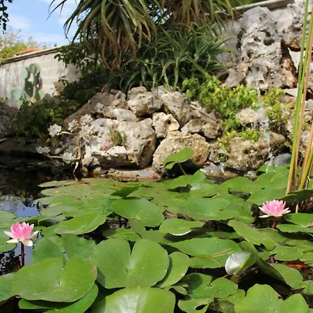 La Rosa Blu Bari