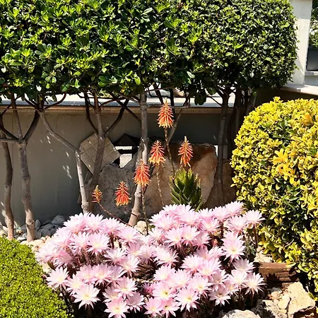 La Rosa Blu Bed & Breakfast