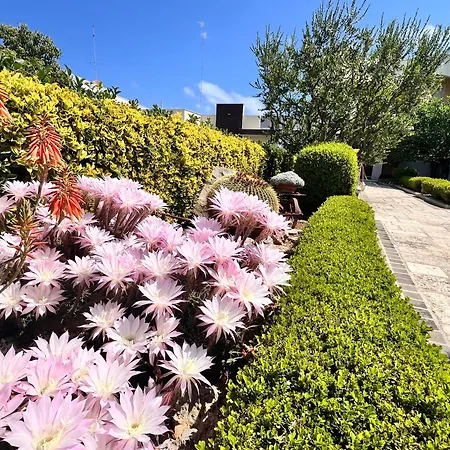 Bed & Breakfast La Rosa Blu