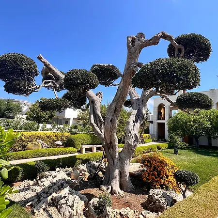 La Rosa Blu Bed and breakfast Bari