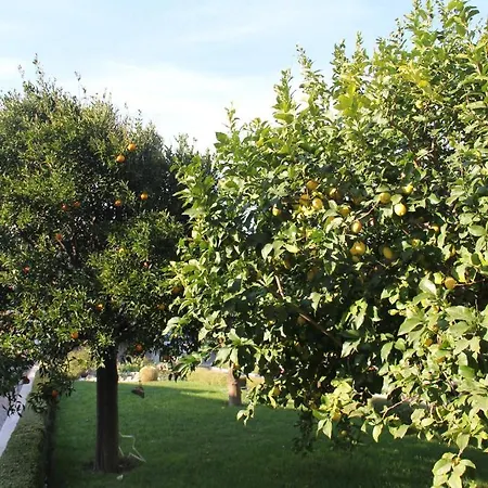 La Rosa Blu Барі