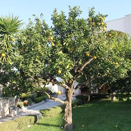 La Rosa Blu Bed & Breakfast 2*