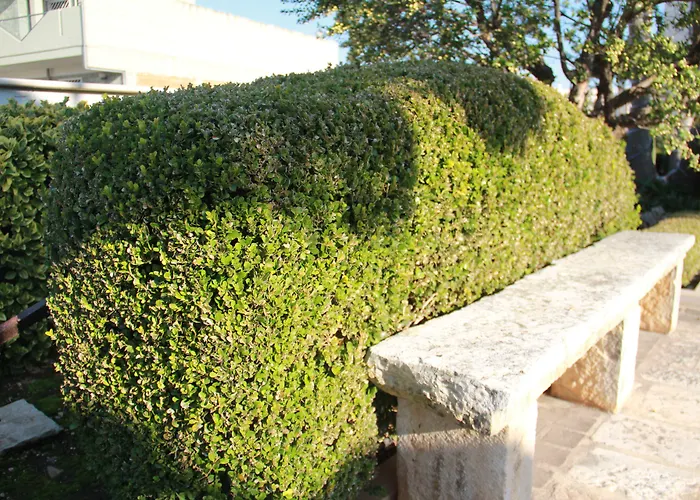 La Rosa Blu Couette-café