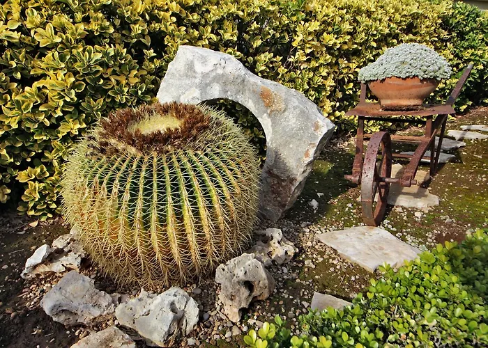 Nocleg ze śniadaniem La Rosa Blu 3*