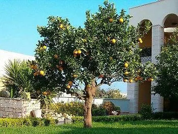 Bed & Breakfast La Rosa Blu Bari