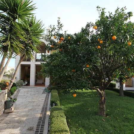 洛萨蓝光住宿加早餐酒店 3*