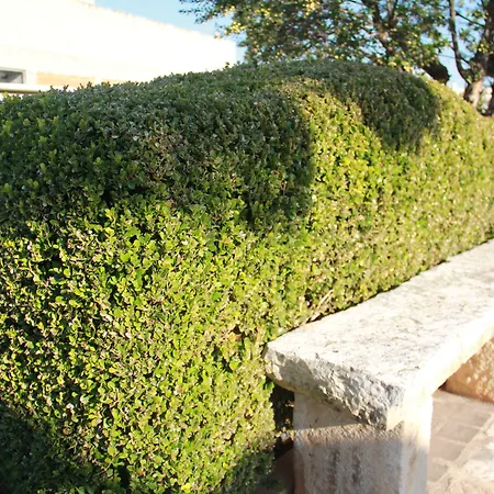 洛萨蓝光住宿加早餐酒店 住宿加早餐酒店