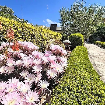 La Rosa Blu Bari