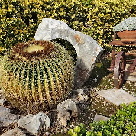 Frühstückspension La Rosa Blu 3*