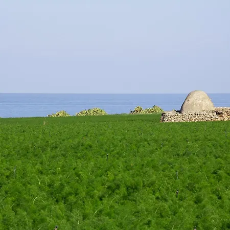 La Rosa Blu Oda ve Kahvaltı Bari
