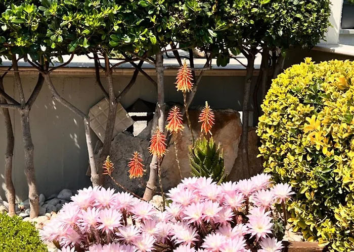 洛萨蓝光住宿加早餐酒店 住宿加早餐酒店