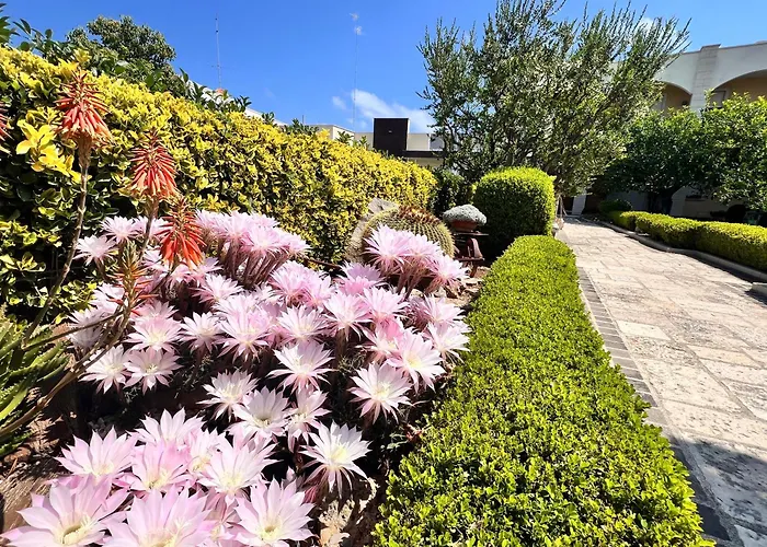 Bed & Breakfast La Rosa Blu