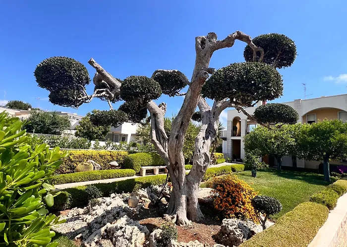 La Rosa Blu Готель типу 