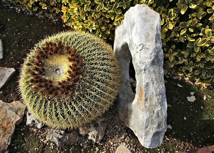 洛萨蓝光住宿加早餐酒店 3* 巴里