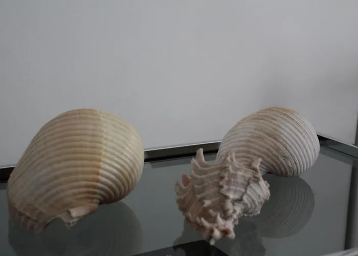 La Rosa Blu Готель типу 